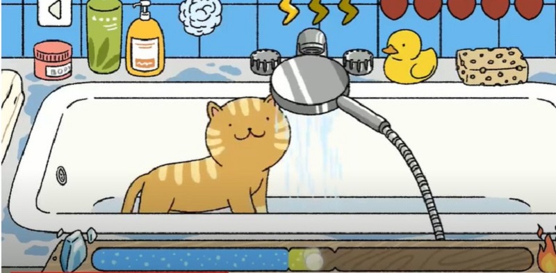 cách tắm cho mèo trong adorable house